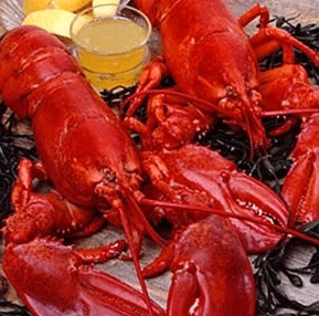 <span>Quarters: 1.25+ lb.<strong>Fresh Live Lobster</strong></span>