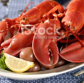 <span>Extra Large: 3+ lb.<strong>Fresh Live Lobster</strong></span>